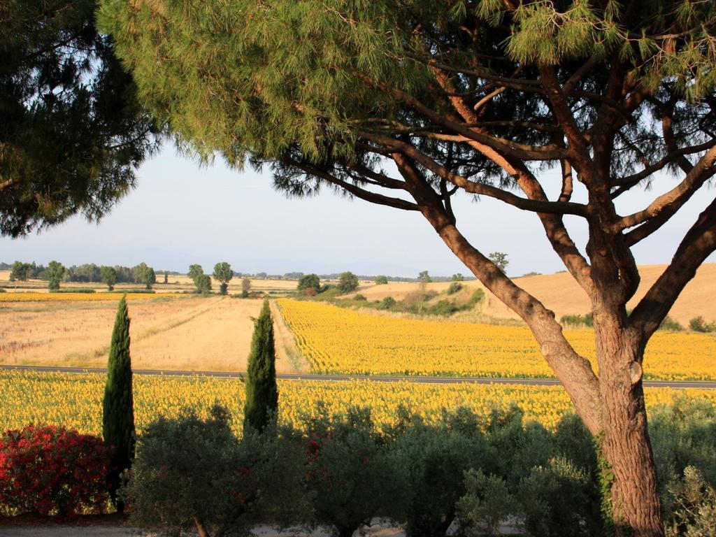 Agriturismo Peretti Фонтебланда Экстерьер фото
