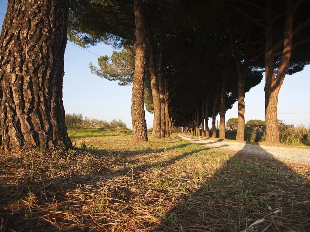 Agriturismo Peretti Фонтебланда Экстерьер фото